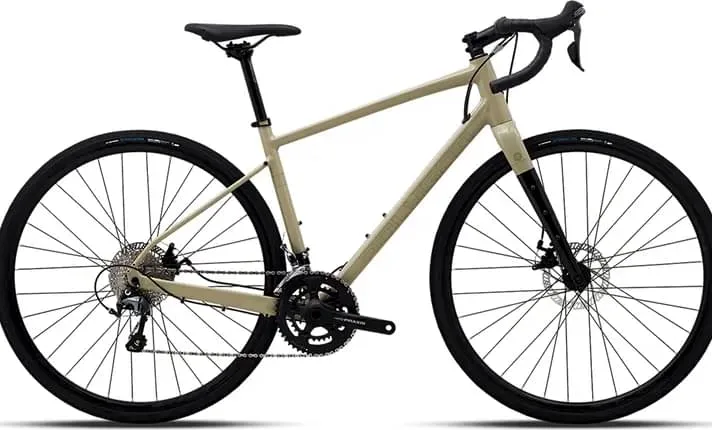 2024 polygon path x4.jpeg