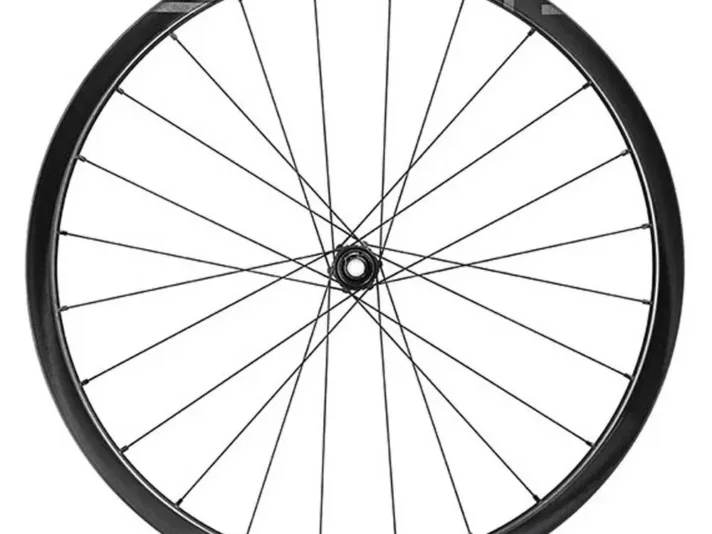 campagnolo roue arriere de gravel levante 30 2wf cl disc.webp