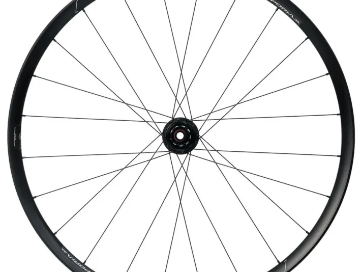 hed roue arriere de gravel emporia ga pro cl disc tubeless.webp