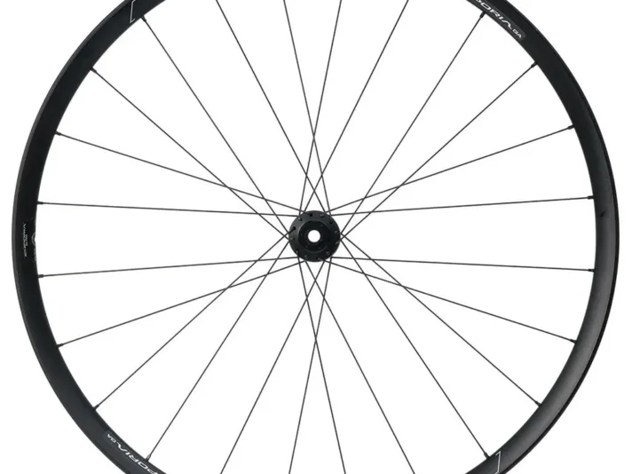 hed roue avant gravel emporia ga pro cl disc.webp