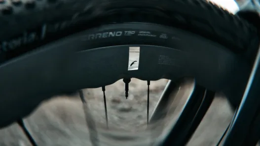 2026 fulcrum sharq gr action27 @imaze